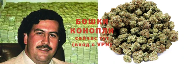 прущая мука Богданович