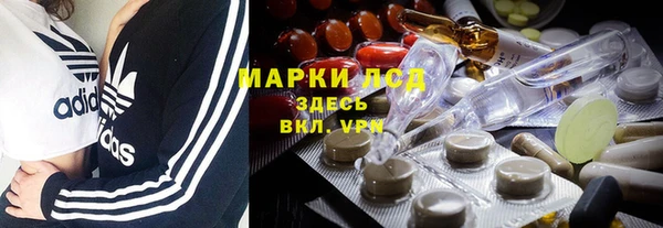 индика Верея