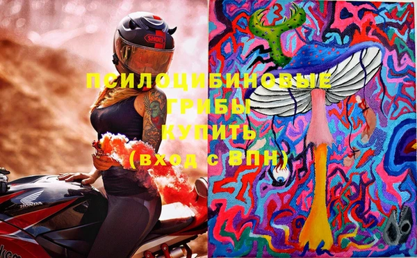 СК Верхний Тагил
