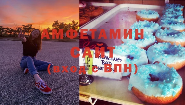 индика Верея