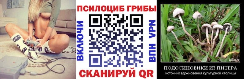 ссылка на мегу зеркало  купить закладку  Кандалакша  Псилоцибиновые грибы Magic Shrooms 